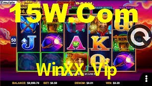 WinXX Vip,WinXX