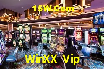 Security Systems WinXX Vip